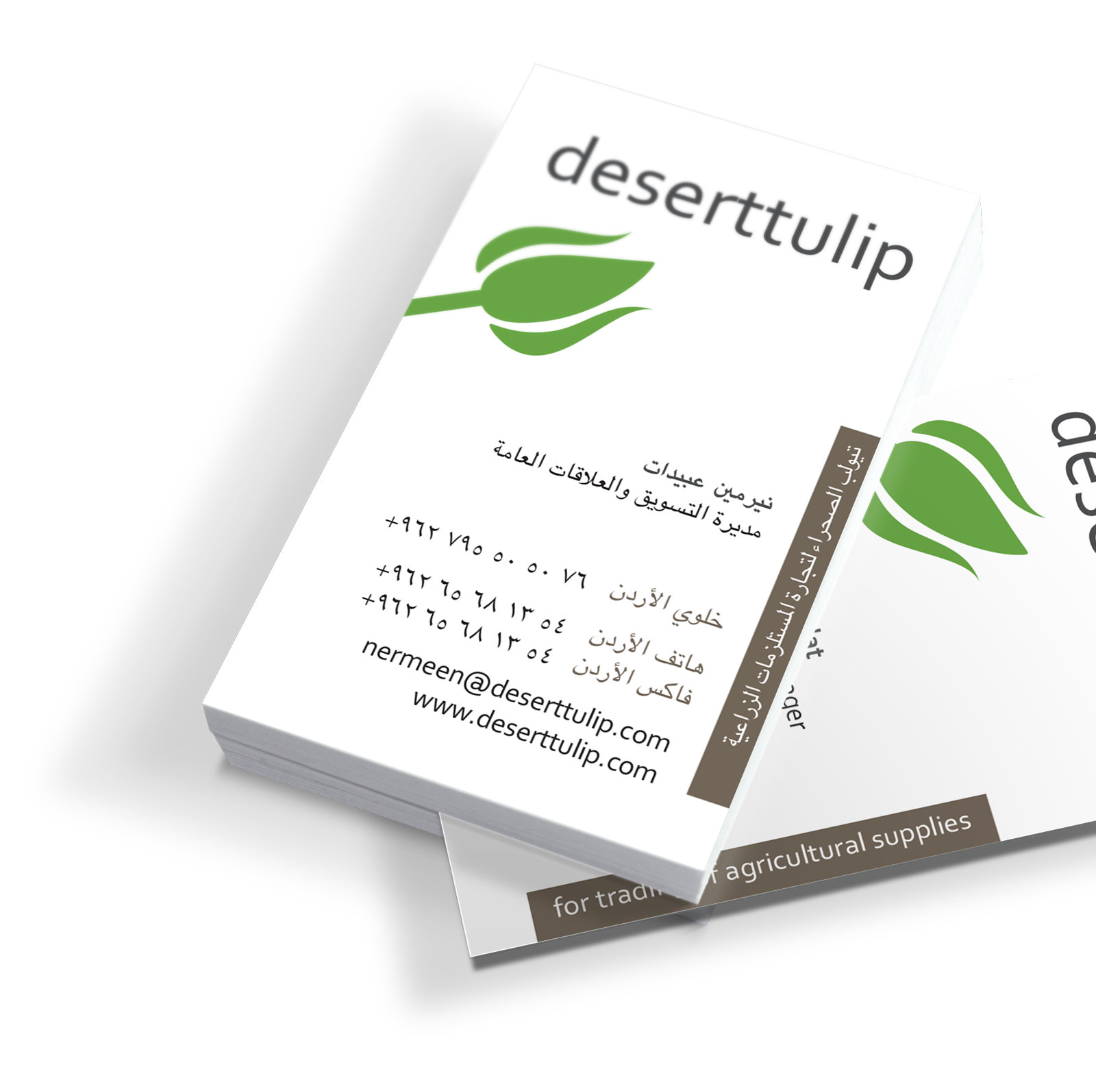 logo, huisstijl, visitekaartjes, holding page voor DesertTulip